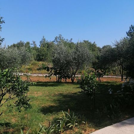 קוטור Apartman Petovic מראה חיצוני תמונה